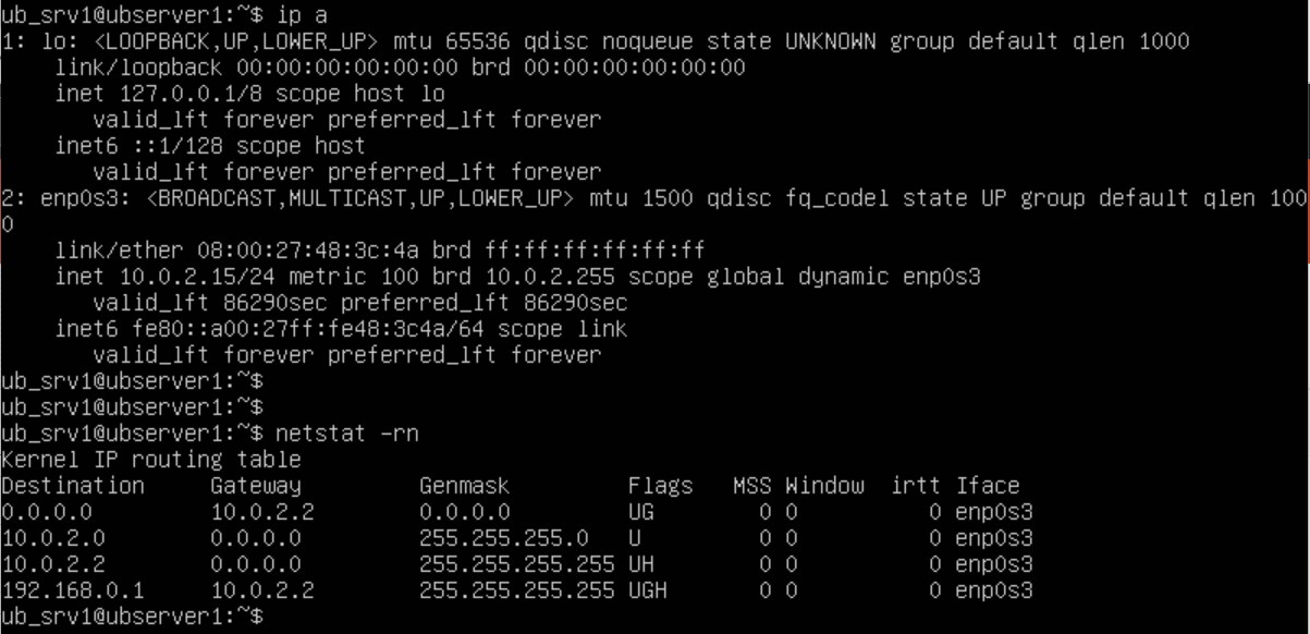 DNS and Renew IP